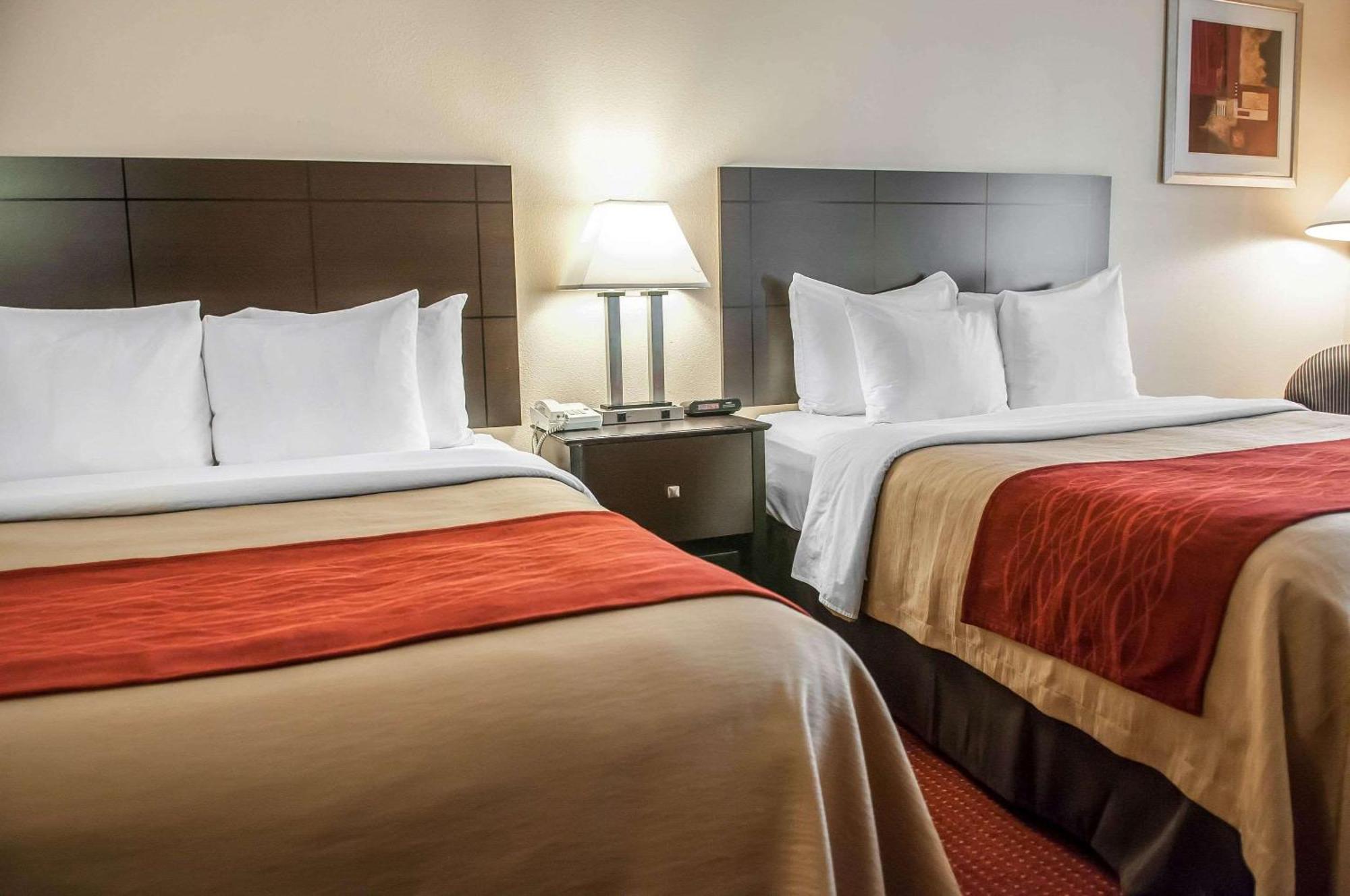 Quality Mini-hôtel 4*